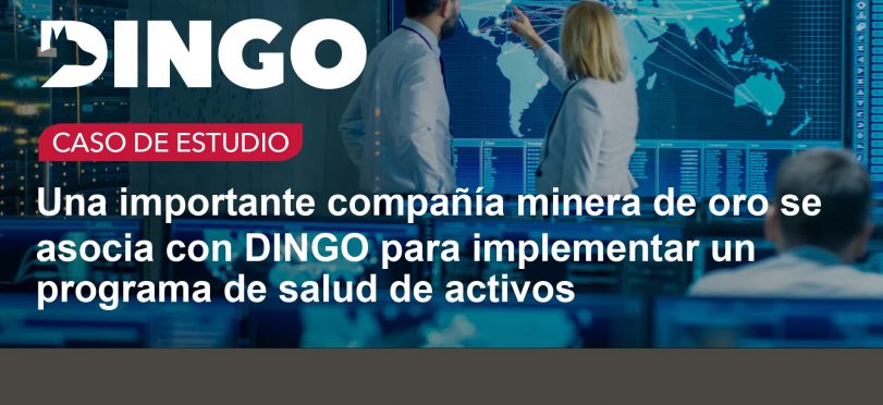 Una importante compañía minera de oro se asocia con Dingo para implementar un programa de salud de activos