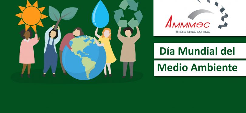Acciones para Cuidar el Medio Ambiente