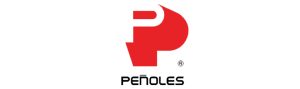 Penoles-testimonio